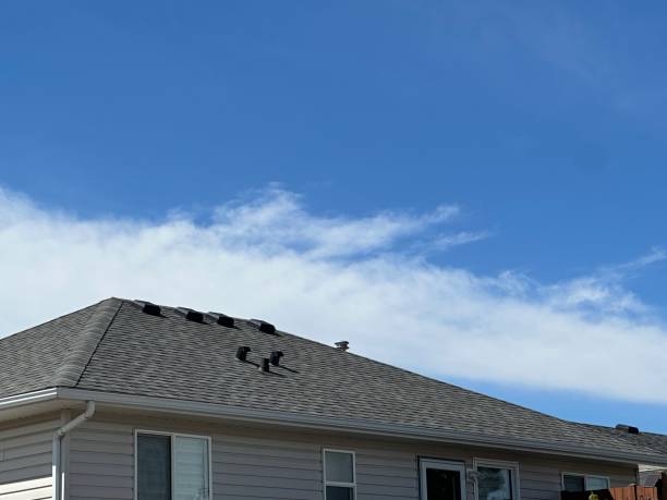 Best Roof Maintenance and Cleaning  in Pearland, TX